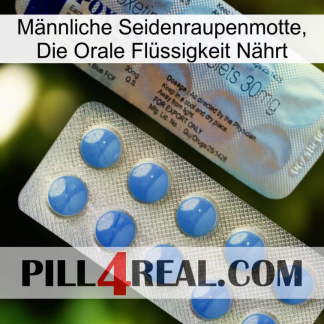 Männliche Seidenraupenmotte, Die Orale Flüssigkeit Nährt 39
